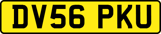 DV56PKU
