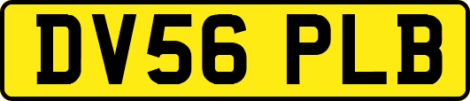 DV56PLB
