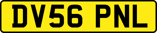 DV56PNL