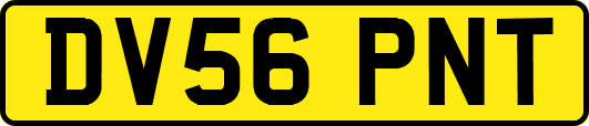DV56PNT