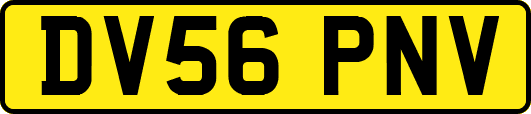DV56PNV