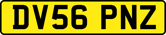 DV56PNZ