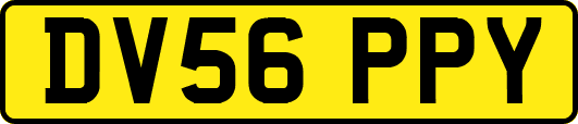 DV56PPY