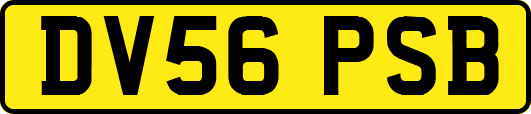 DV56PSB