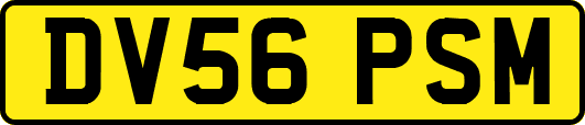 DV56PSM