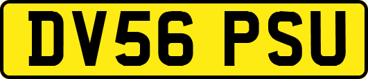DV56PSU