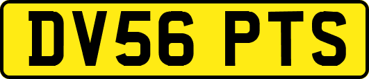 DV56PTS