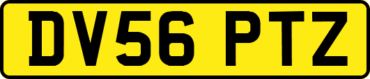 DV56PTZ