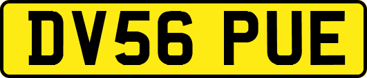 DV56PUE