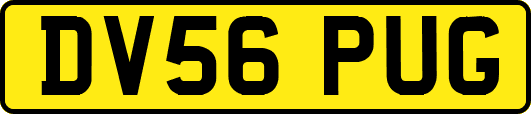 DV56PUG