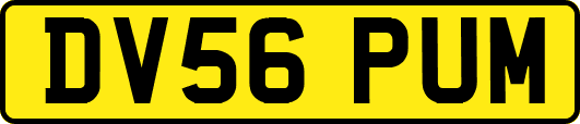 DV56PUM