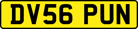 DV56PUN