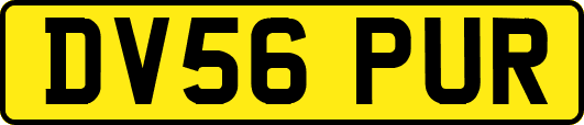 DV56PUR