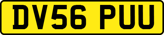 DV56PUU