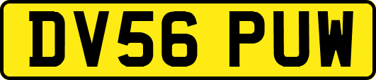 DV56PUW