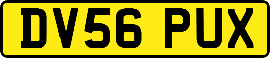 DV56PUX