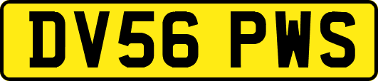 DV56PWS