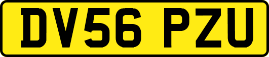 DV56PZU