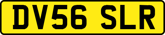 DV56SLR