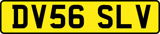 DV56SLV
