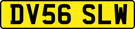 DV56SLW