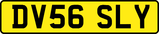 DV56SLY