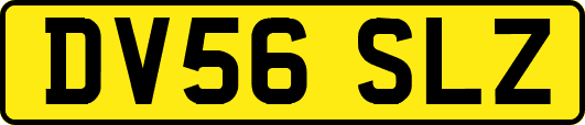 DV56SLZ