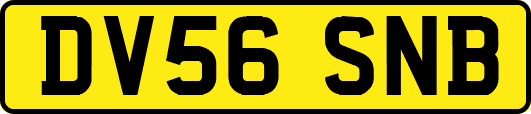 DV56SNB