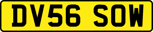 DV56SOW