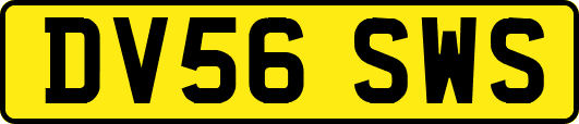 DV56SWS