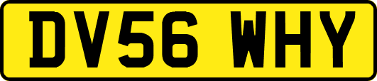 DV56WHY