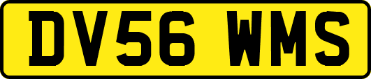 DV56WMS