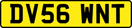 DV56WNT