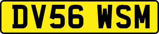 DV56WSM
