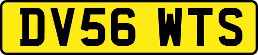 DV56WTS