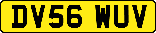 DV56WUV