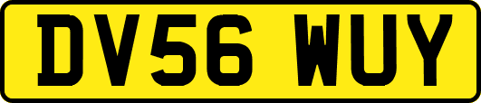 DV56WUY