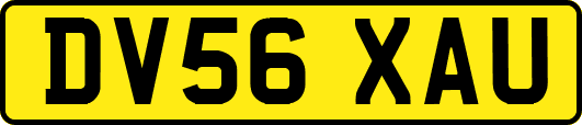 DV56XAU