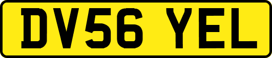 DV56YEL