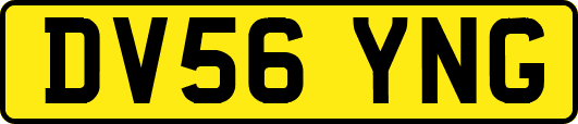 DV56YNG