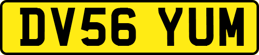 DV56YUM