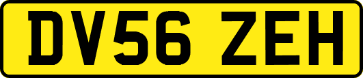 DV56ZEH