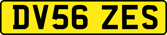 DV56ZES