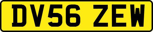 DV56ZEW