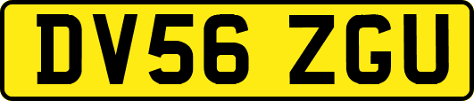 DV56ZGU