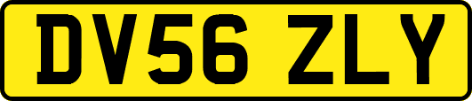 DV56ZLY