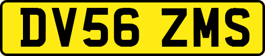 DV56ZMS
