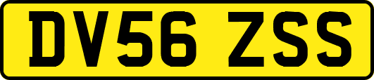 DV56ZSS