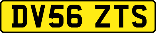 DV56ZTS