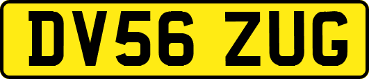 DV56ZUG